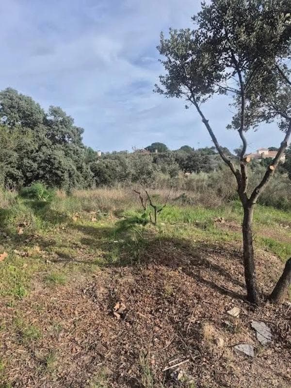 Terreno en venta en Valdemorillo, Madrid photo 4