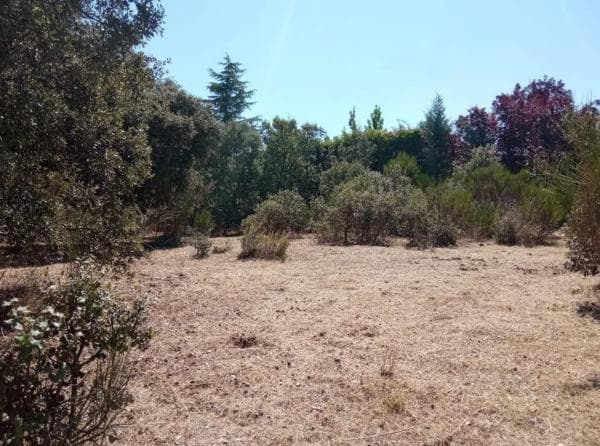Terreno en calle Infanta Carlota, 3 thumbnail 2