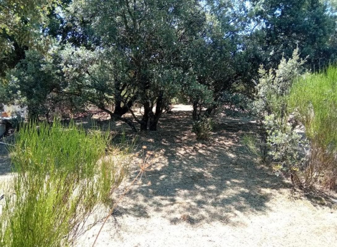 Terreno en venta en Valdemorillo, Madrid photo 4