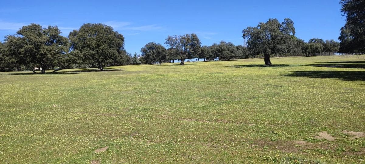 Land for sale in Villanueva de la Cañada, Madrid photo 4