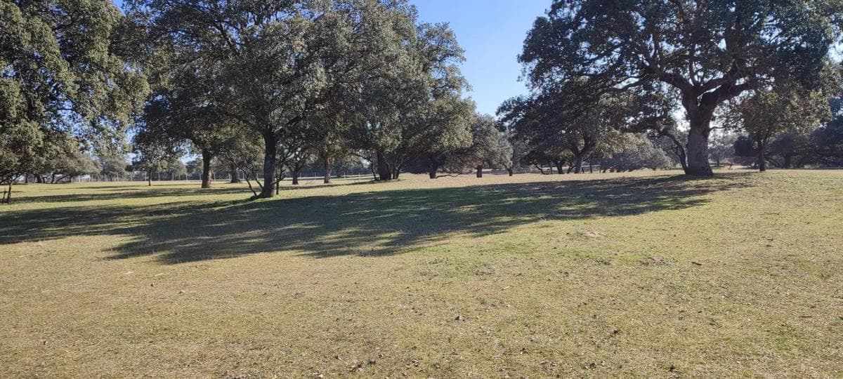 Land for sale in Villanueva de la Cañada, Madrid photo 5