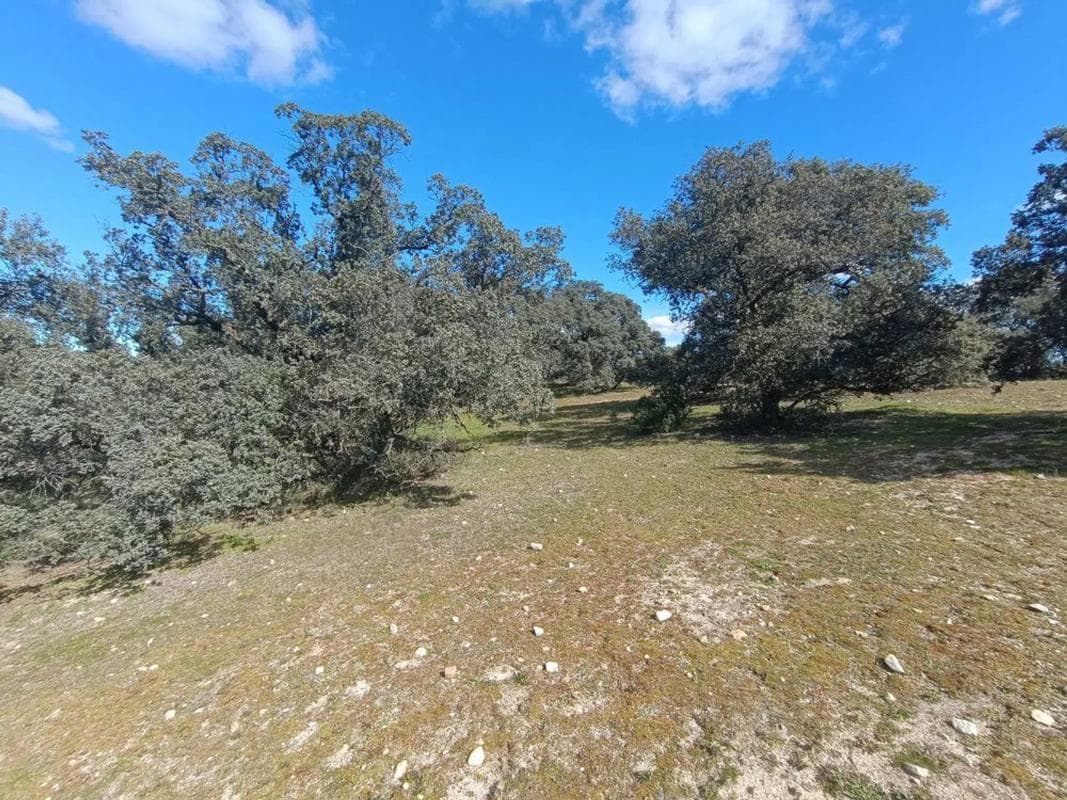 Land for sale in Villanueva de la Cañada, Madrid photo 2