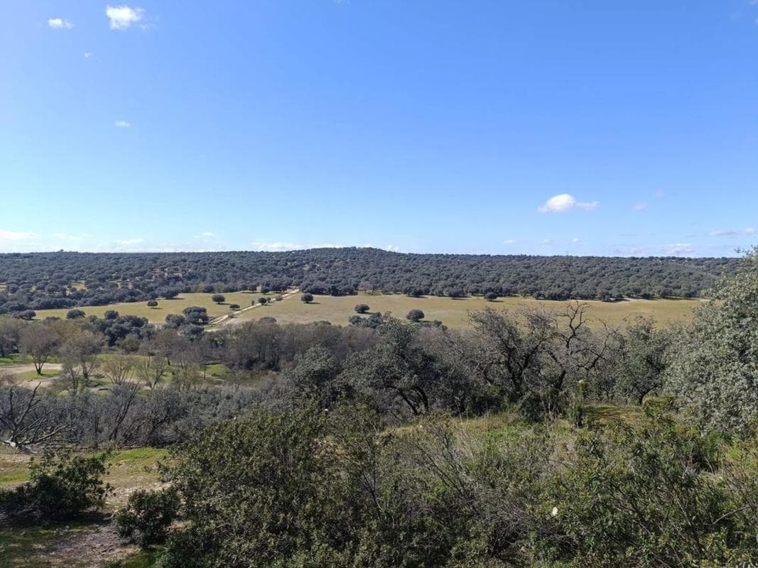 Land for sale in Villanueva de la Cañada, Madrid photo 3