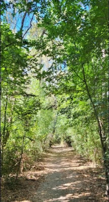 Land for sale in Villanueva de la Cañada, Madrid photo 2