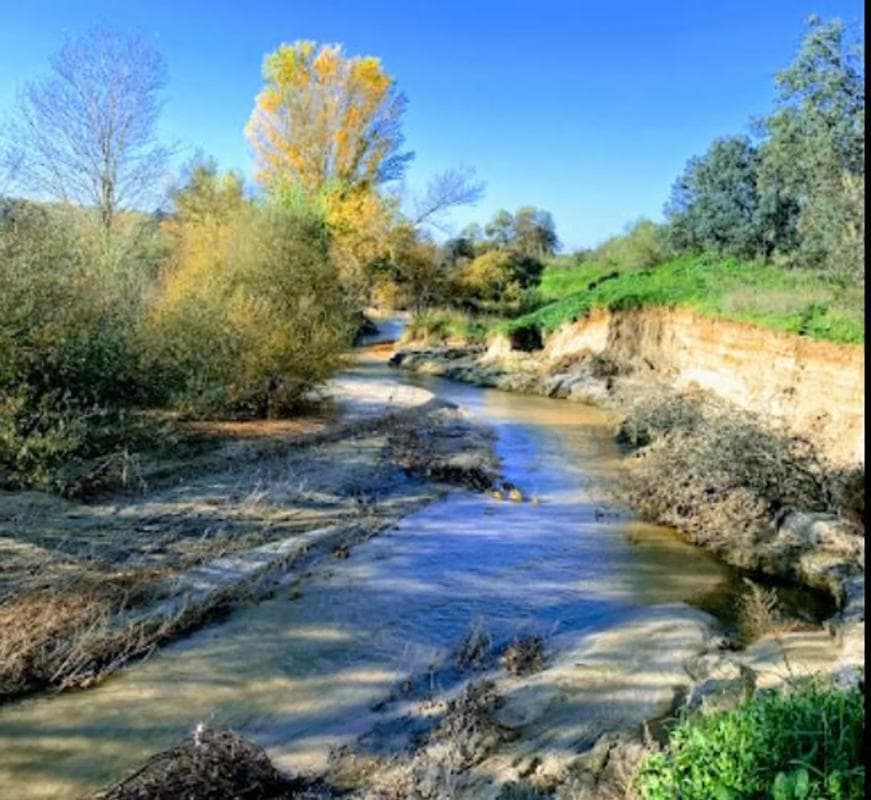 Land for sale in Villanueva de la Cañada, Madrid photo 5
