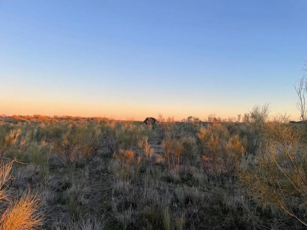 Land for sale in Villanueva de la Cañada, Madrid photo 4