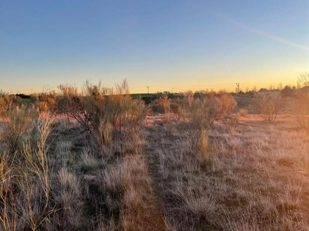 Land for sale in Villanueva de la Cañada, Madrid photo 5