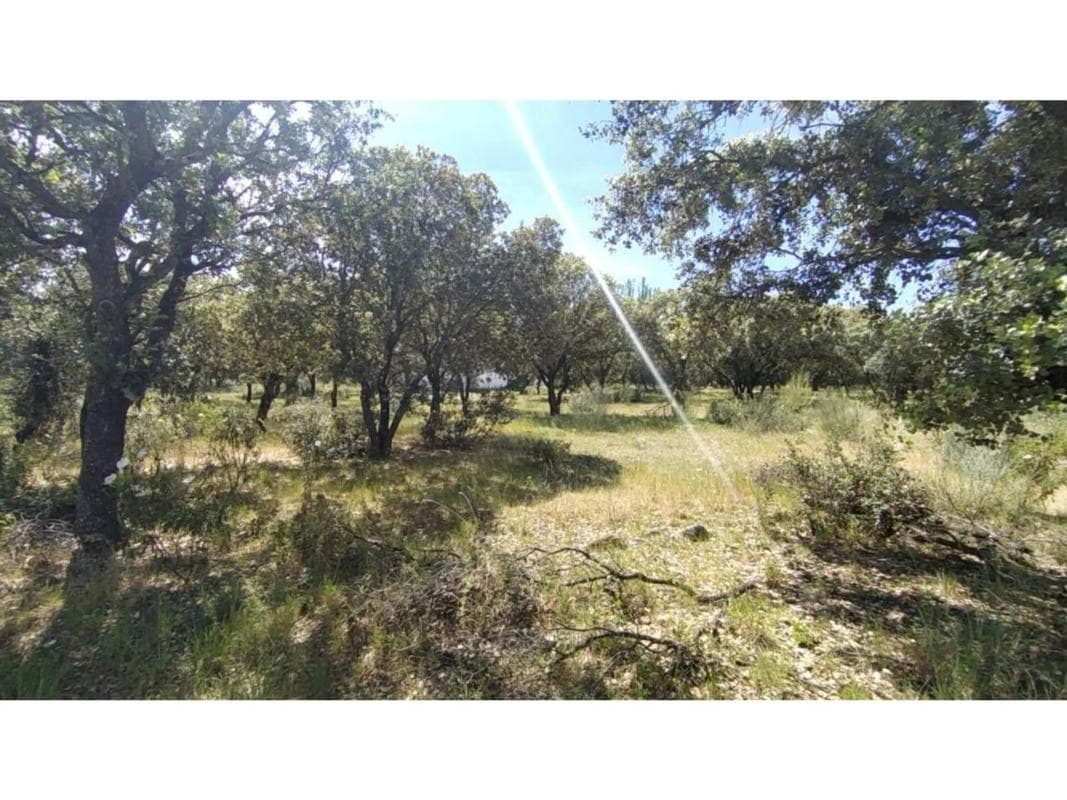 Land for sale in Villanueva de la Cañada, Madrid photo 4