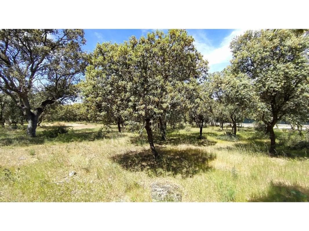 Land for sale in Villanueva de la Cañada, Madrid photo 5