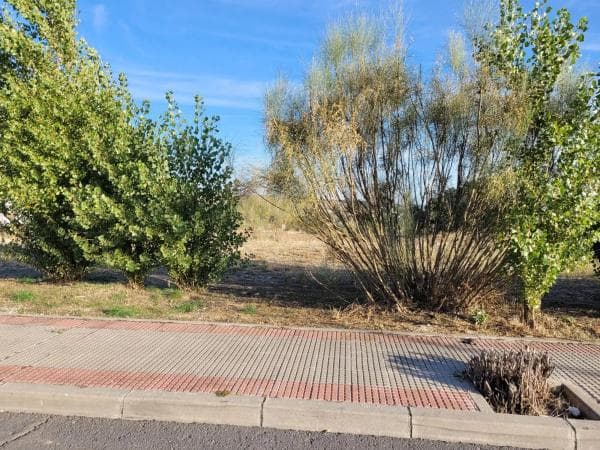Terreno en calle Golondrina, 22 -24 thumbnail 1