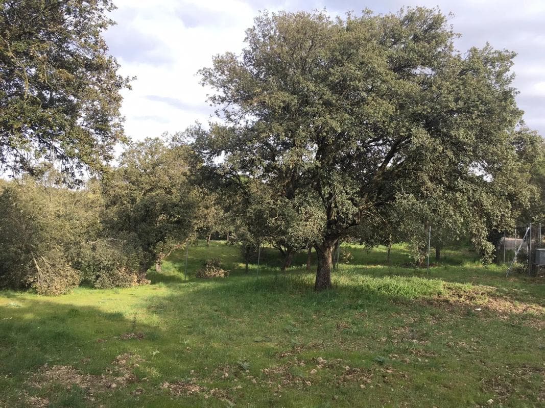 Działka na sprzedaż w Villaviciosa de Odón, Madryt photo 5