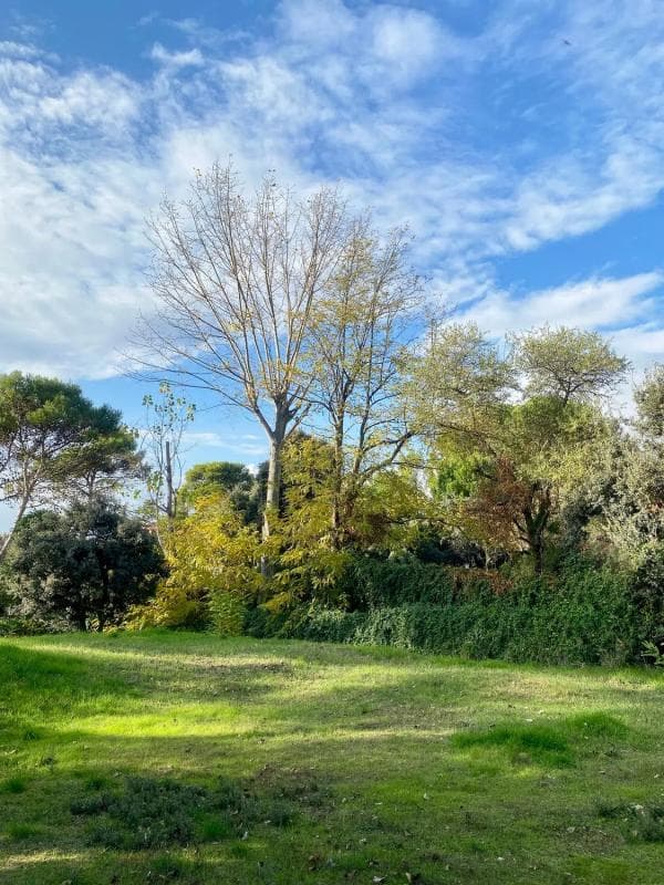 Terreno en venta en Villaviciosa de Odón, Madrid photo 3