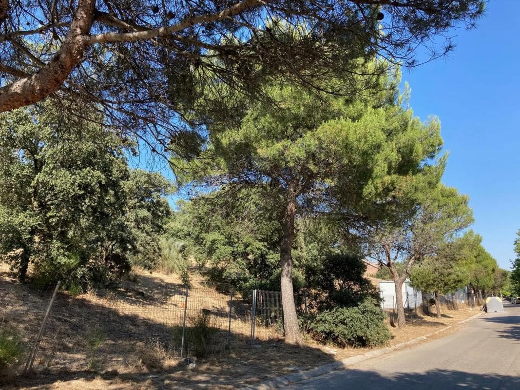 Terreno en venta en Villaviciosa de Odón, Madrid photo 5