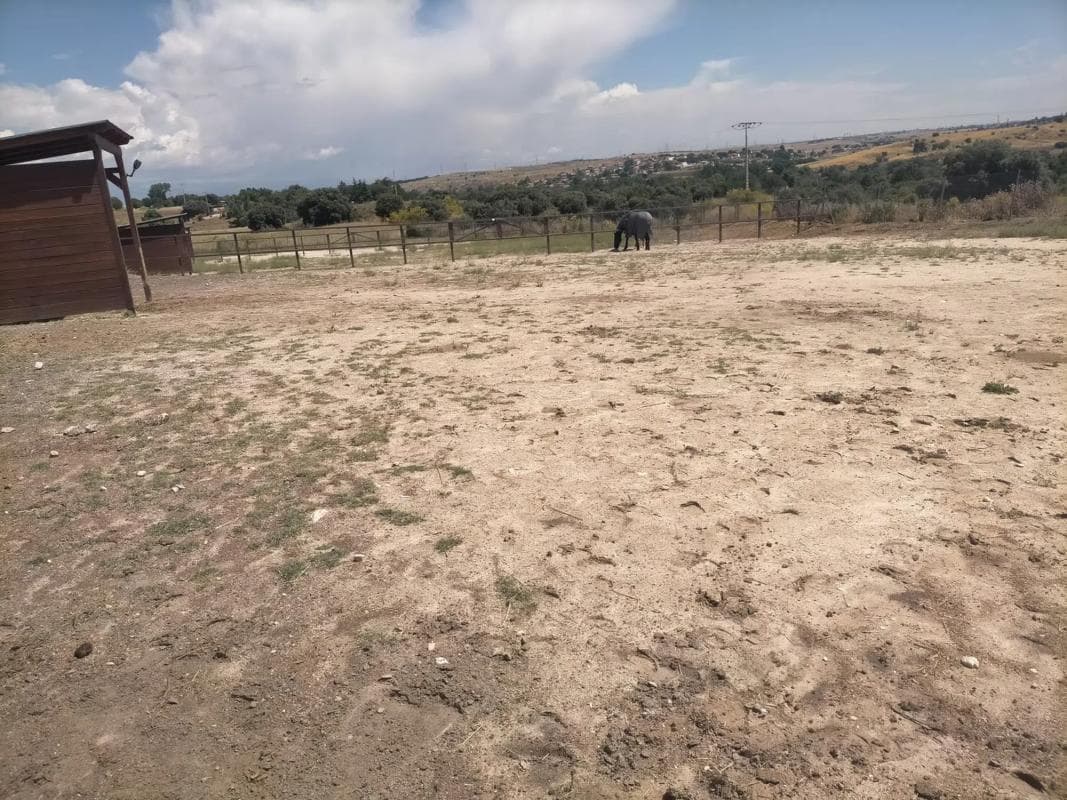 Terreno en venta en Villaviciosa de Odón, Madrid photo 5