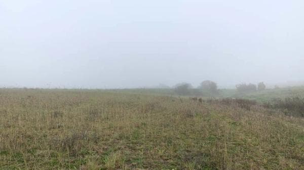 Terreno en vereda del Cerro de los Olivares y de la Cueva de la Mora thumbnail 1