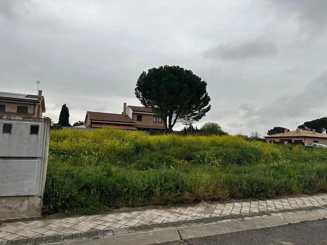 Terreno en venta en Fuente el Saz de Jarama, Madrid photo 2