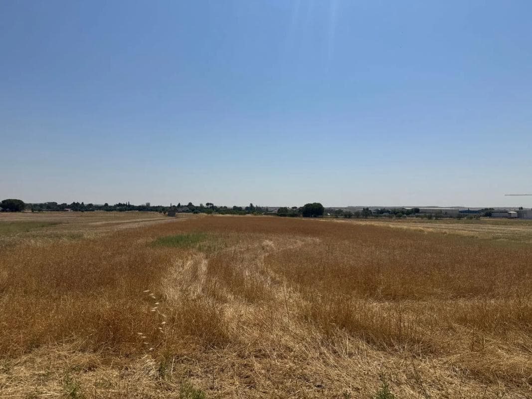 Terreno en venta en Fuente el Saz de Jarama, Madrid photo 3