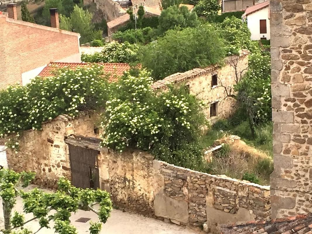 Terreno en venta en Buitrago del Lozoya, Madrid photo 3