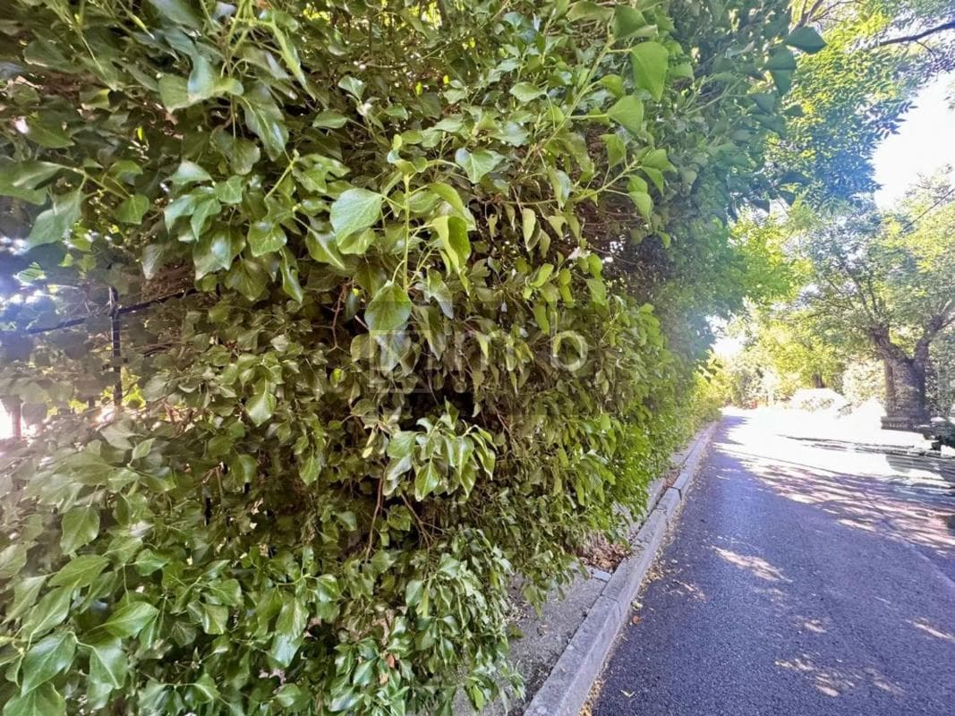 Terreno en venta en Miraflores de la Sierra, Madrid photo 4