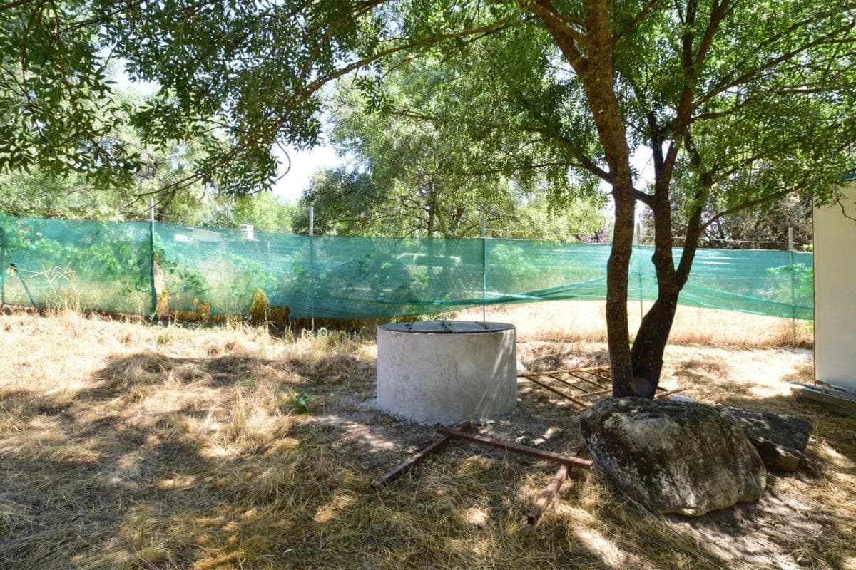 Terreno en venta en Navalafuente, Madrid photo 5