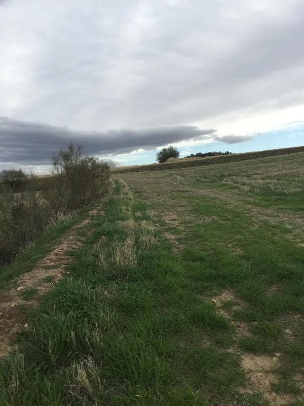 Terreno en venta en Algete, Madrid photo 3