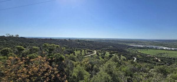 Terreno en San Agustin de Guadalix photo 1