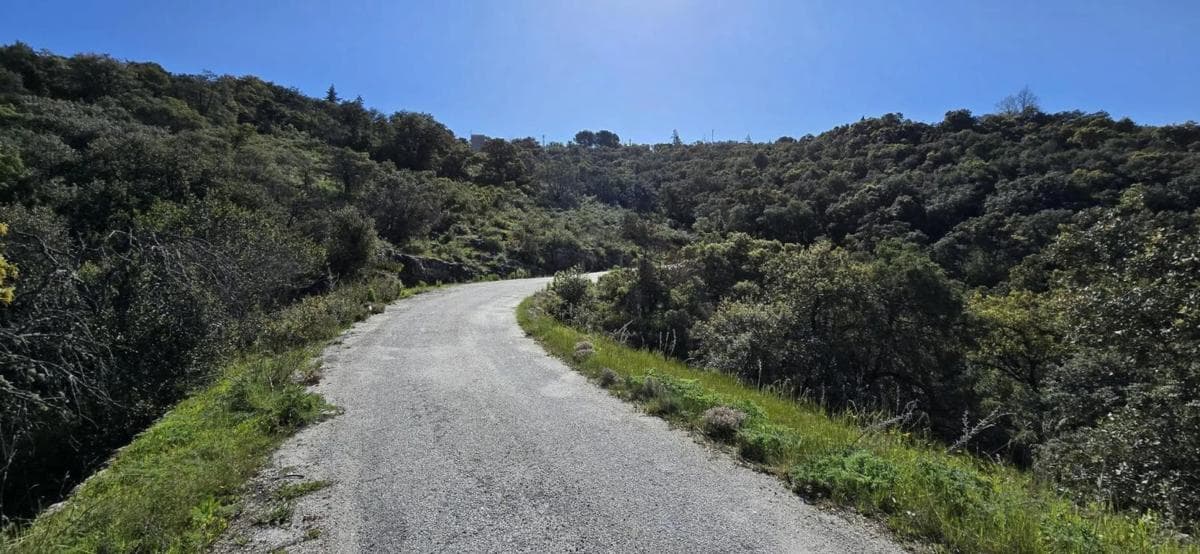 Terreno en venta en San Agustin de Guadalix, Madrid photo 2