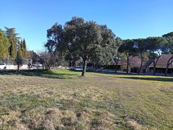Terreno en La Moraleja urbanización thumbnail 1