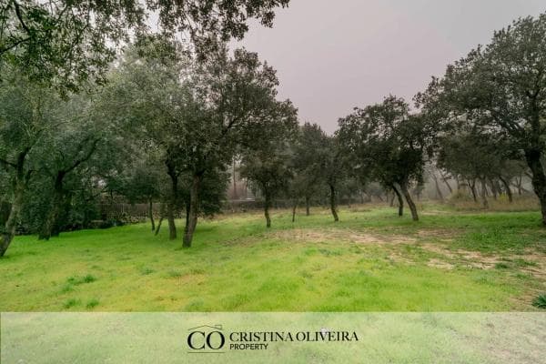 Terreno en La Moraleja urbanización photo 1
