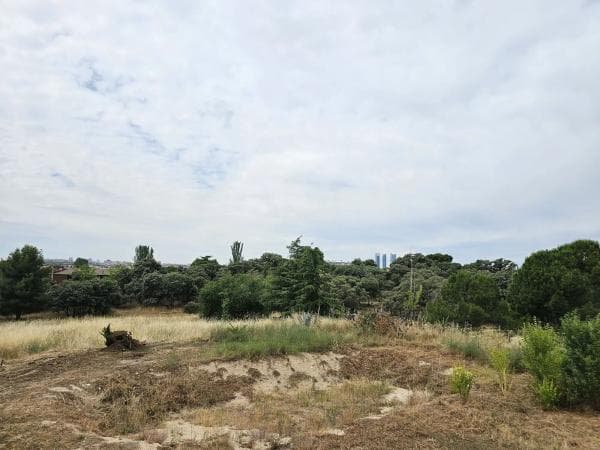 Terreno en La Moraleja urbanización photo 1
