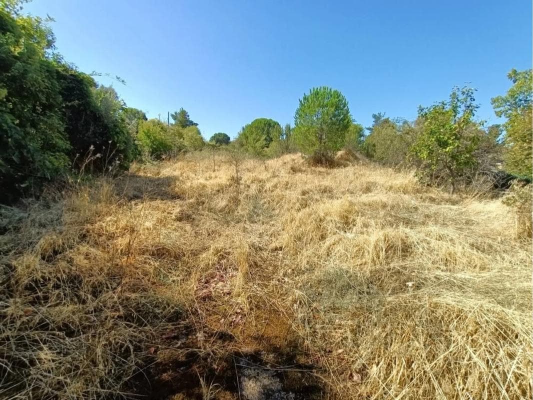 Terreno en venta en Ribatejada, Madrid photo 4
