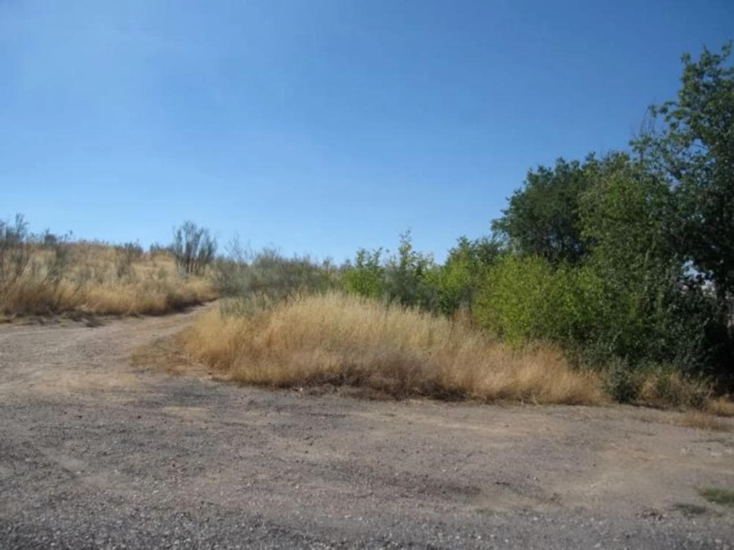 Terreno en venta en Algete, Madrid photo 2