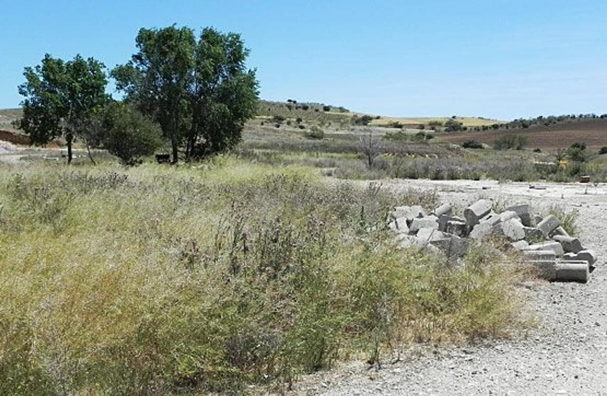 Terreno en venta en Ribatejada, Madrid photo 5