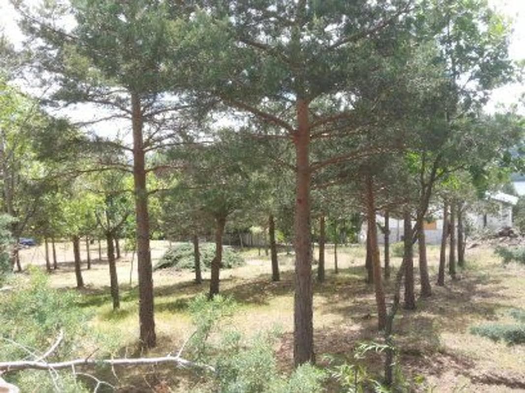 Działka na sprzedaż w Lozoya, Madryt photo 3