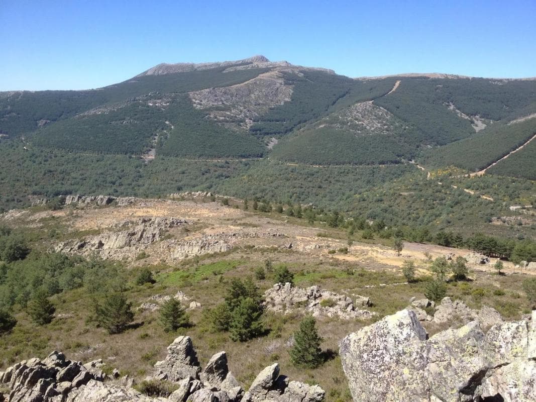 Terreno en venta en Puebla de la Sierra, Madrid photo 5