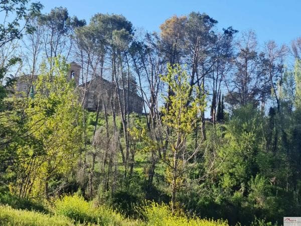 Terreno en calle del Molino photo 1