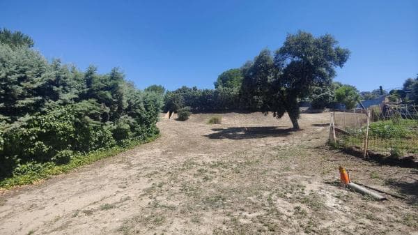 Terreno en Batres photo 4