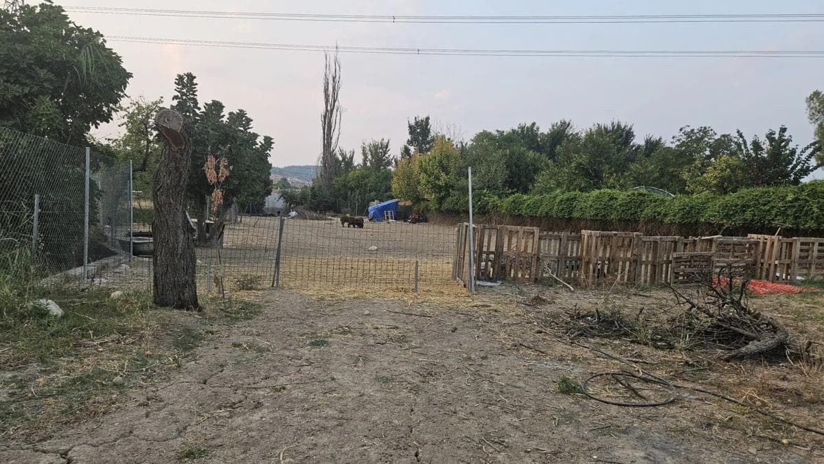 Land for sale in Estremera, Madrid photo 5