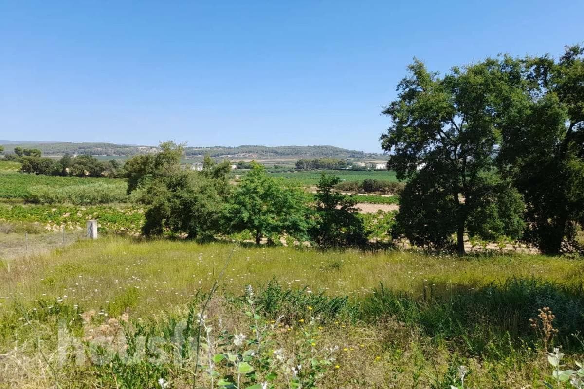 Terreno en venta en Pacs del Penedès, Barcelona photo 4
