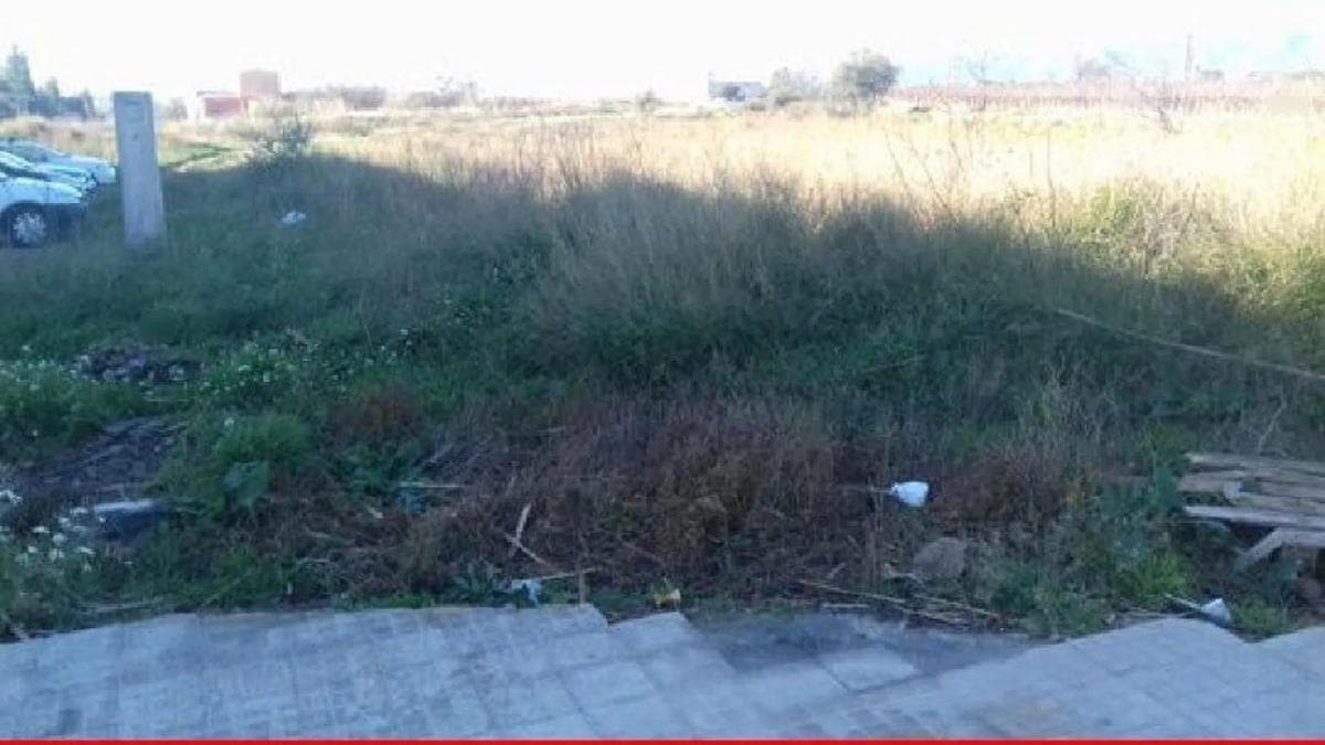 Terreno en venta en Santa Margarida i els Monjos, Barcelona photo 3