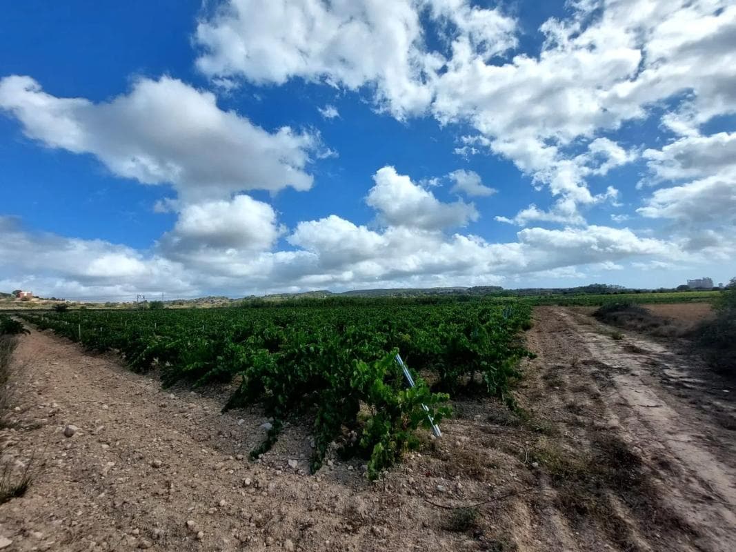 Terreno en venta en Vilafranca del Penedès, Barcelona photo 2