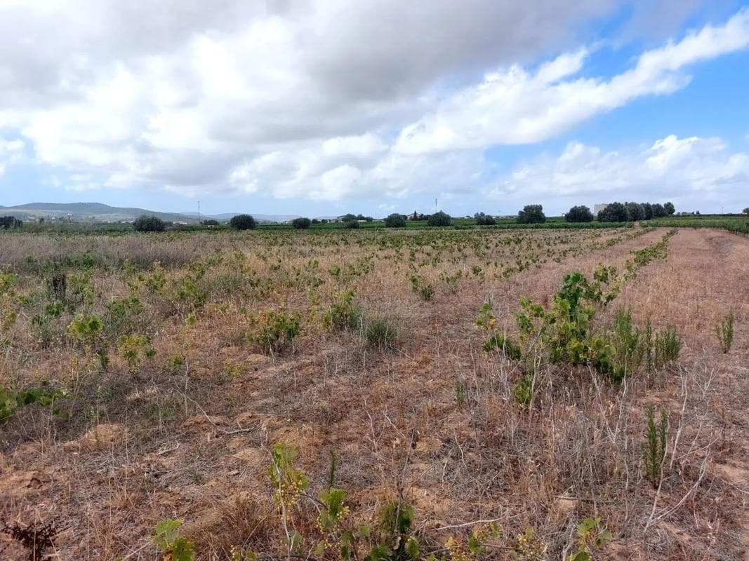 Terreno en venta en Castellví de la Marca, Barcelona photo 4