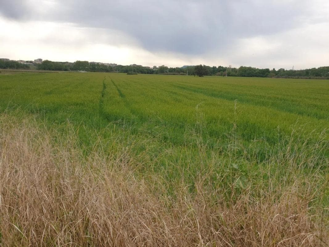 Terreno en venta en Vilafranca del Penedès, Barcelona photo 3