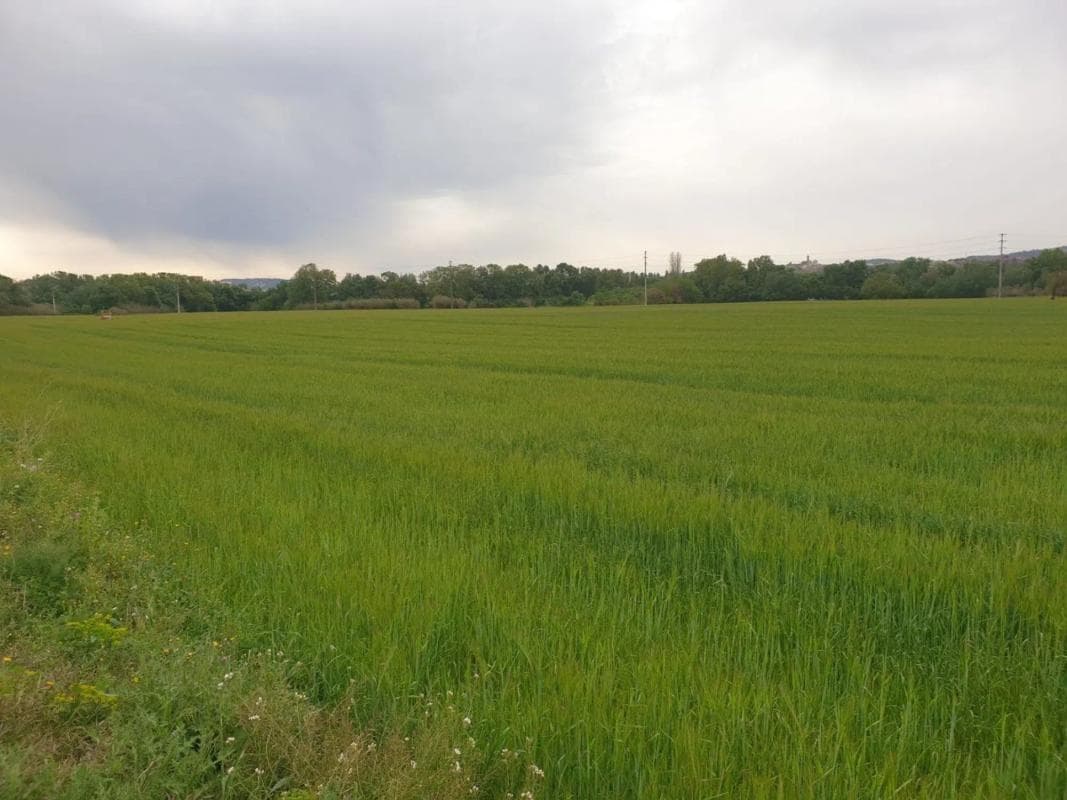 Terreno en venta en Vilafranca del Penedès, Barcelona photo 4