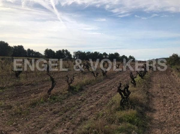 Terreno en Avinyonet del Penedès thumbnail 1