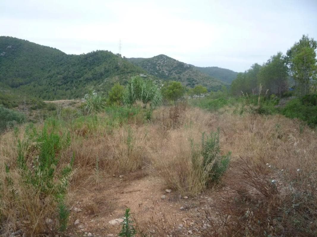 Terreno en venta en Avinyonet del Penedès, Barcelona photo 4