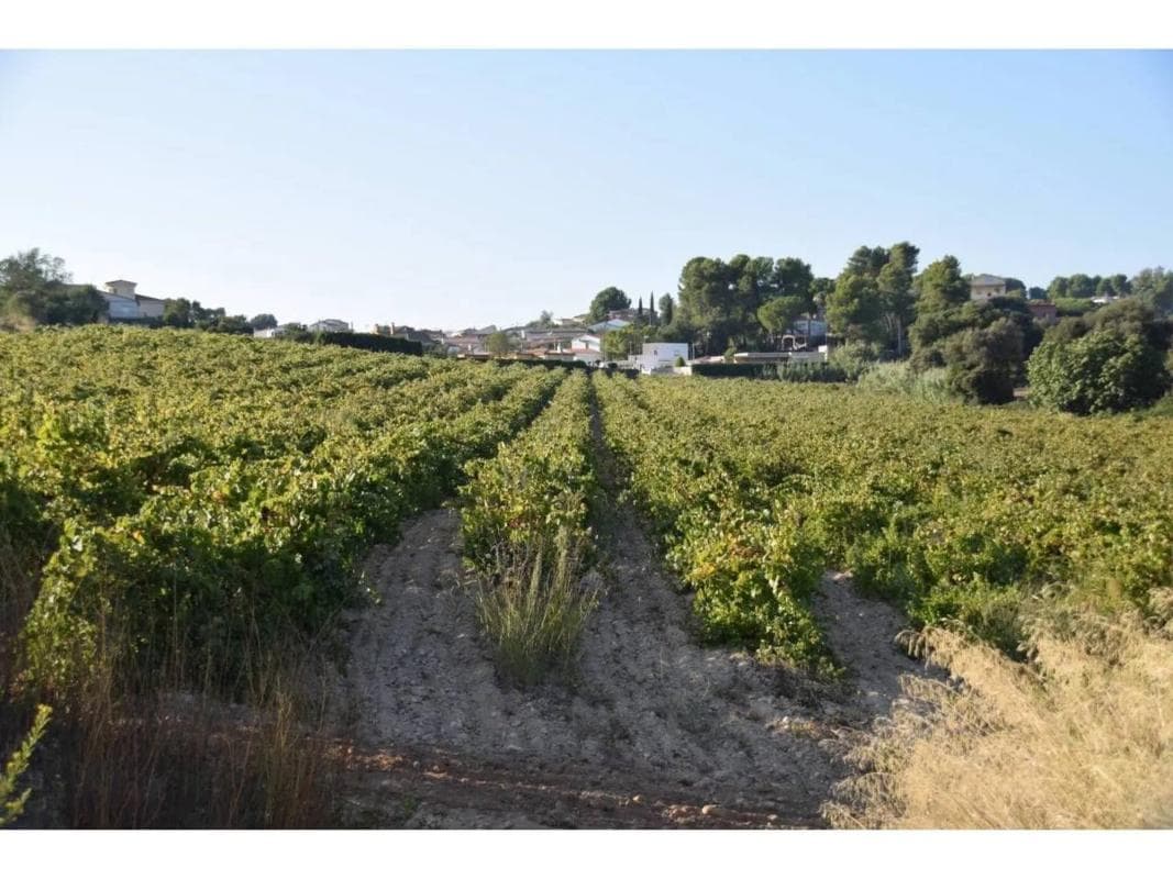 Terreno en venta en Sant Sadurní d'Anoia, Barcelona photo 3