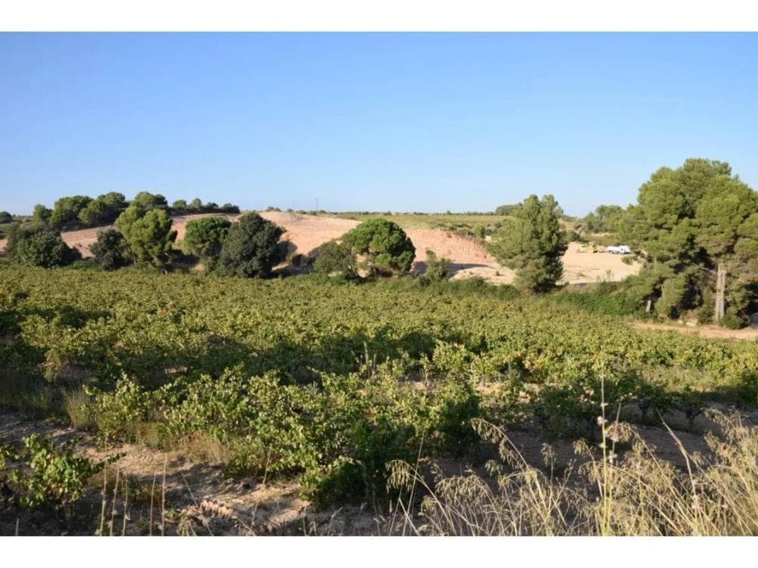 Terreno en venta en Sant Sadurní d'Anoia, Barcelona photo 4