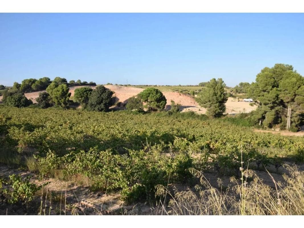 Terreno en venta en Sant Sadurní d'Anoia, Barcelona photo 5