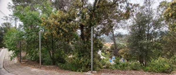 Terreno en avenida Mirador, 8 Parcela thumbnail 1